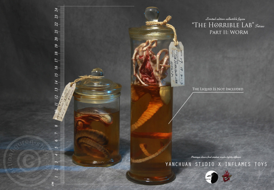 IFT-022-12 The Horrible Lab Series - WORM
