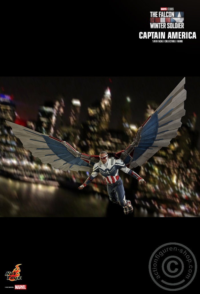 The Falcon and the Winter Soldier - Captain America - TMS040 The Falcon and the Winter Soldier - Captain America - TMS040