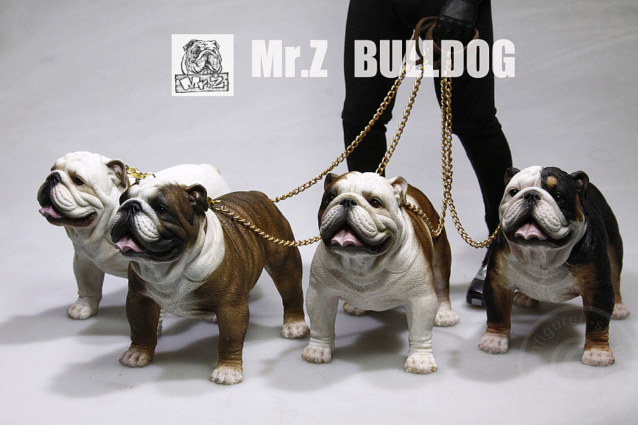 MRZ003-006-001 British Bulldog - Version 4