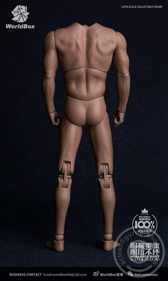 WB-AT-017-02 Body - Crazy Durable - Ver. 2.0