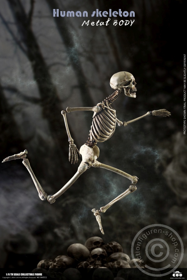 COOBS011-16WUfI3pyWMd4cb The Human Skeleton - DIECAST ALLOY - Attention: with 2 left feet