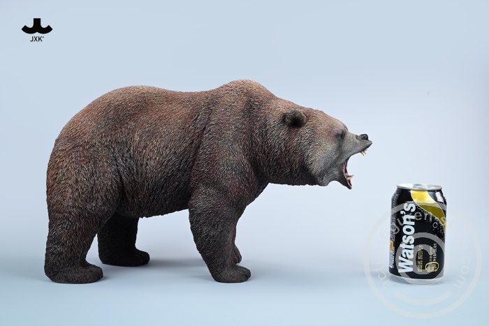 Brown Bear - roaring