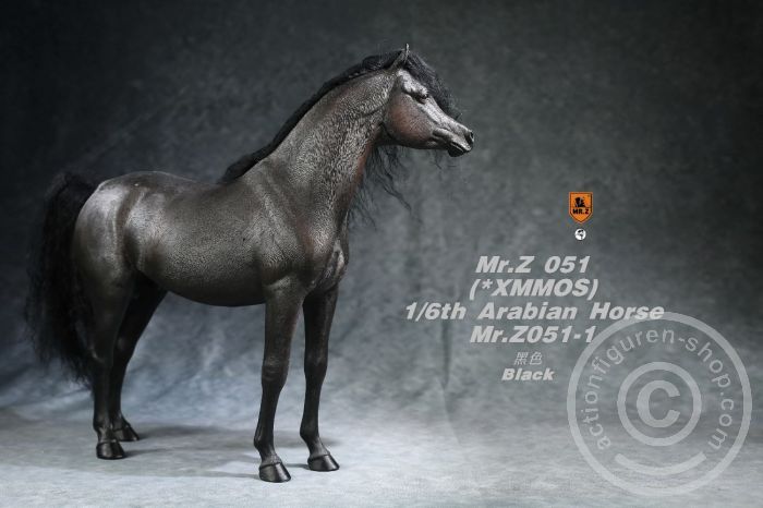 MRZ051-01-16 Arabian Horse w/ full European Harness - black
