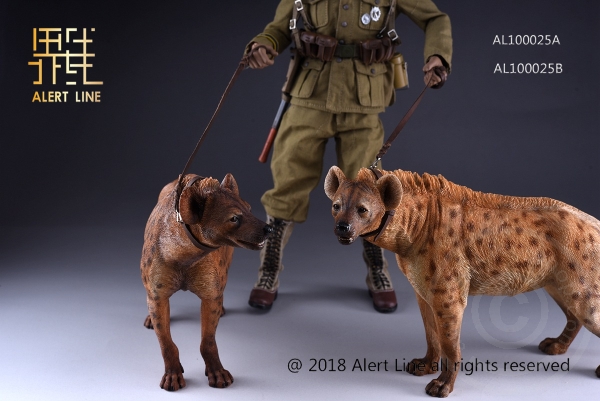 ALL1025AB-19ZUYDizNpYvrDm Crocuta - 1/6 scale