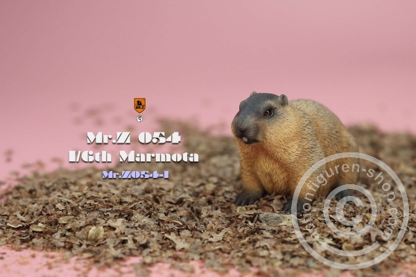 MRZ054-01-03 Marmota