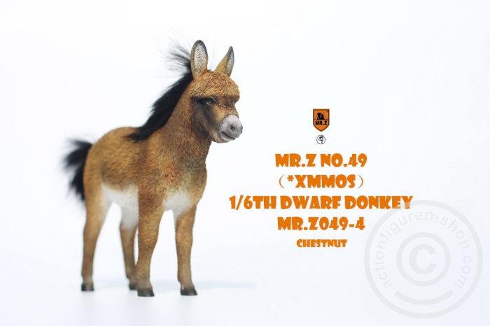 Dwarf Donkey