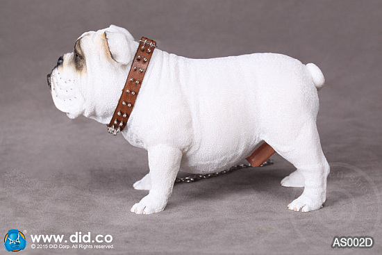 AS002D-02a British Bulldog - Version D