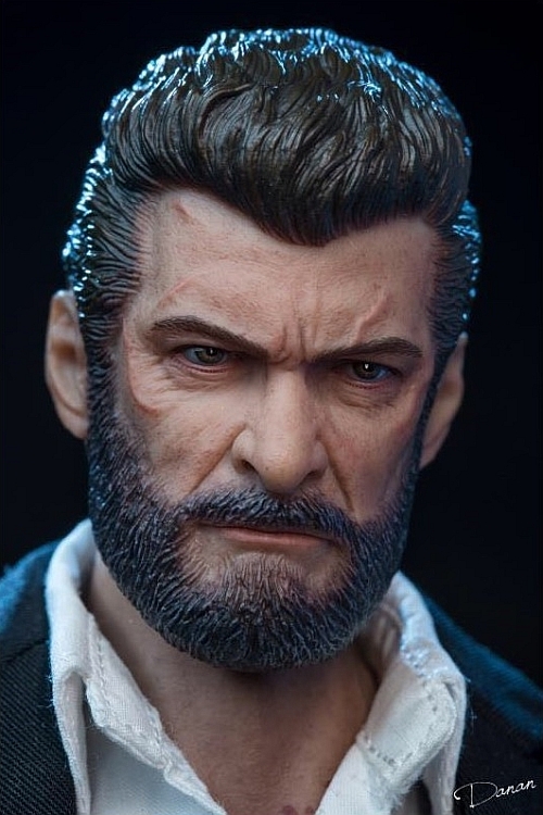 Logan - Old Wolverine - Head