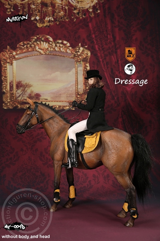 MRZ004B-100Ztc62s2KM778 Dressage Set B