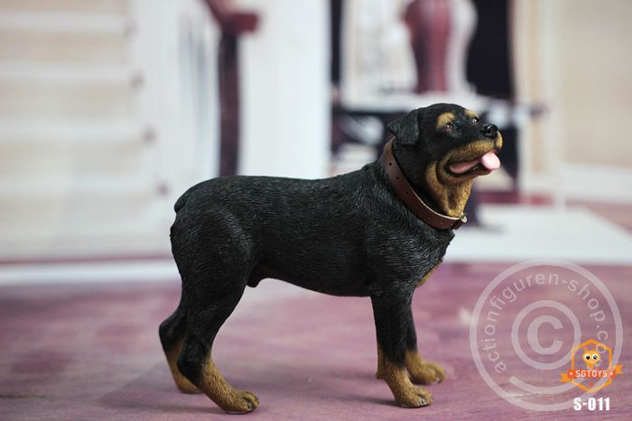 SGT-S011-02 Rottweiler - black/brown