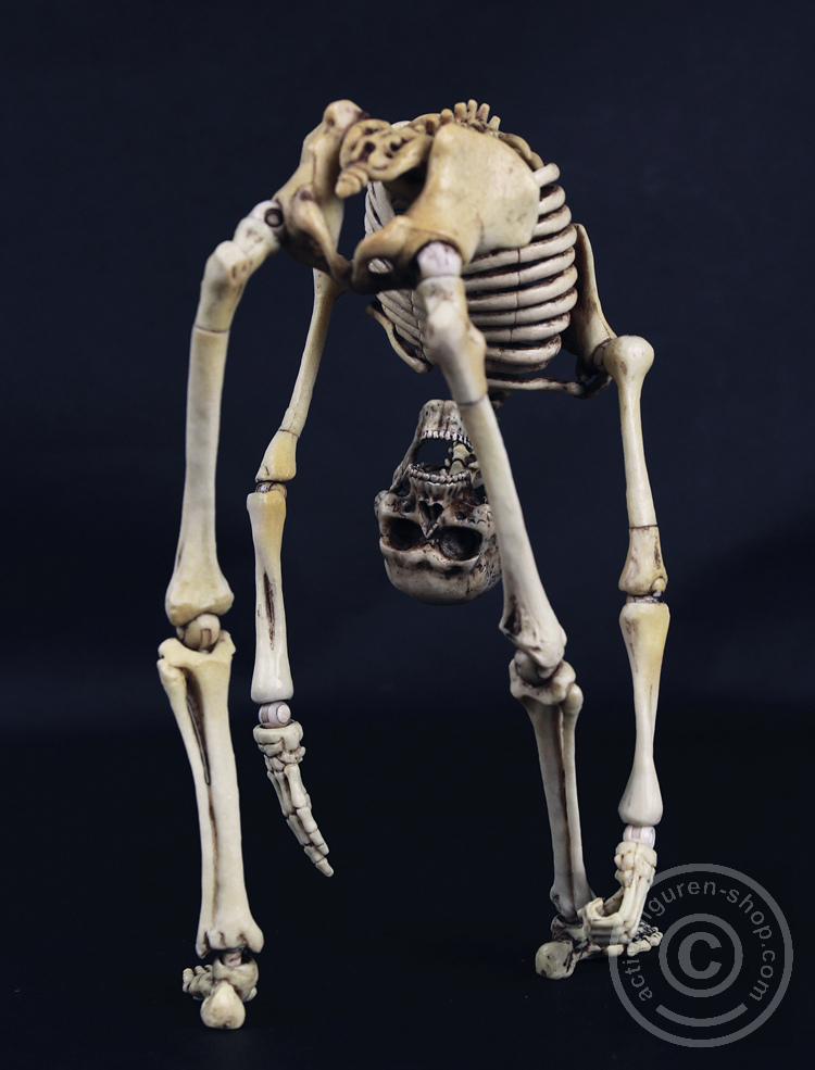 Skeleton Spear Soldier - Human Skeleton in 1:6