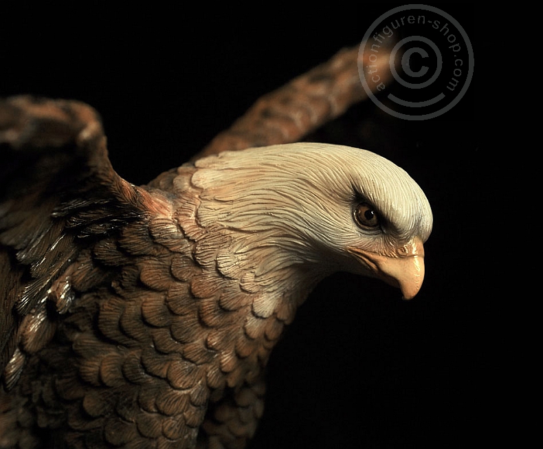 TC-M1007B-05 Adler/Falke mit Diorama Basis