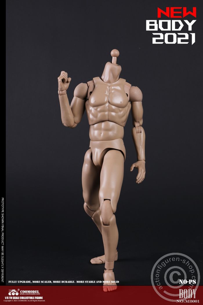 Standard Male Body - New Type
