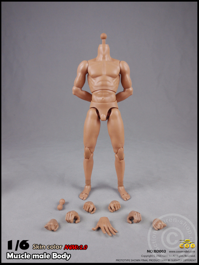 Male Body 2.0 - Muscular - 25cm