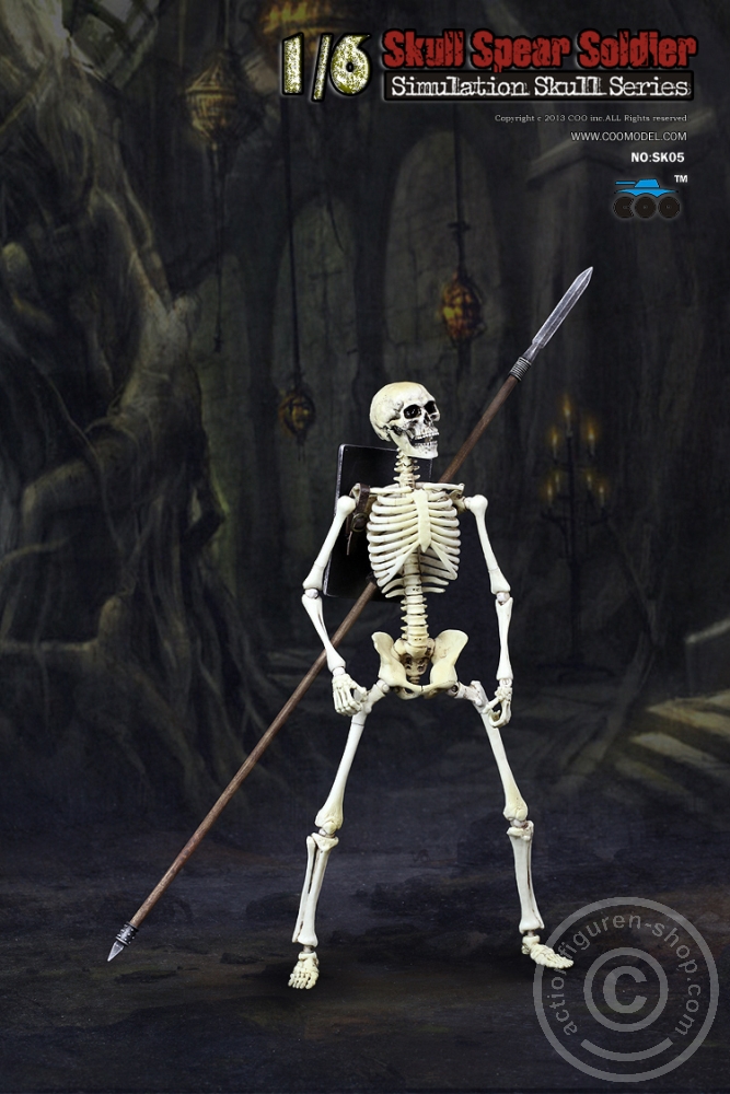 Skeleton Spear Soldier - Human Skeleton in 1:6