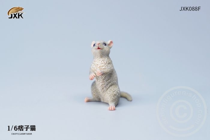 The Rat