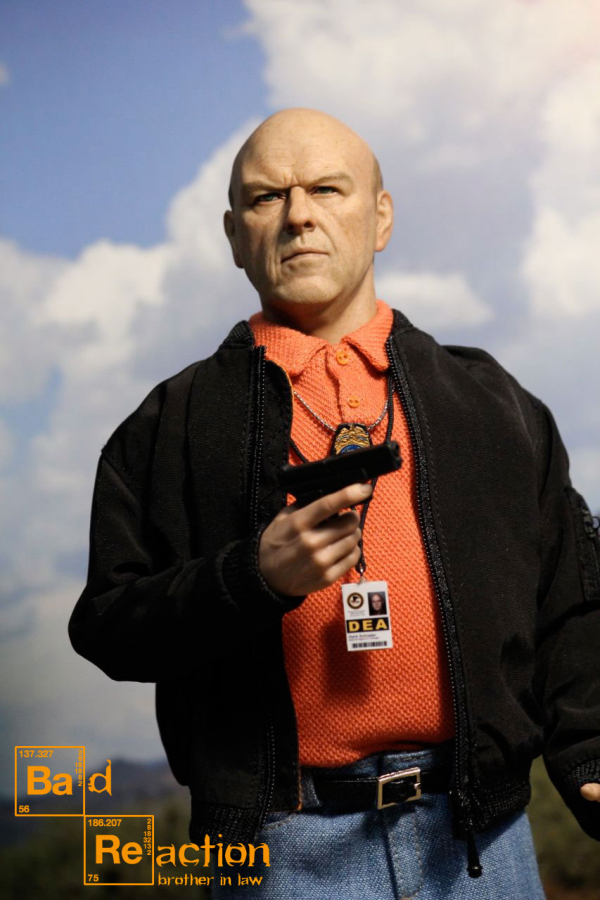 IMM012f-01CM6oG7C5qgj9f Hank Schrader - Brother in Law