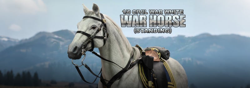 Civil War White War Horse (Standing) - 1/6 scale