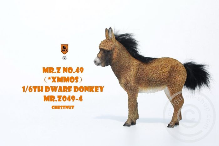 Dwarf Donkey