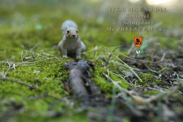 MRZ044B-22 3 Squirrel (Set B)