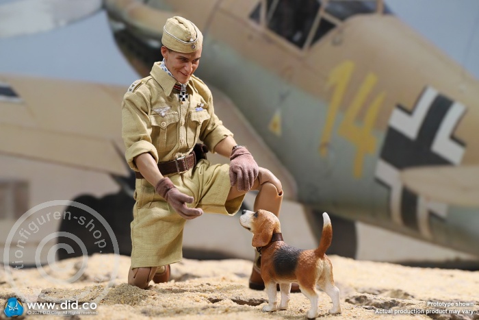 Diorama - "Star of Afrika"