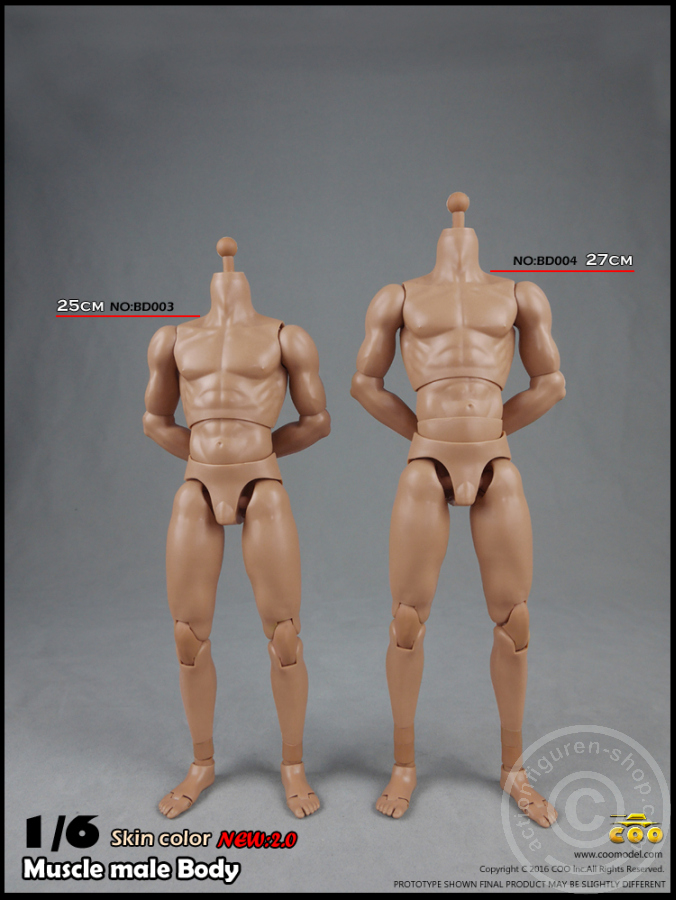 Male Body 2.0 - Muscular - 25cm