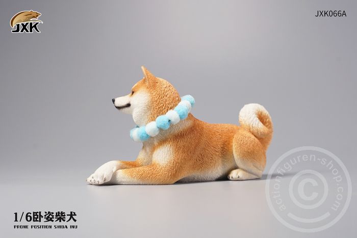 Jxk066A-02 Prone Position Shiba Inu - A