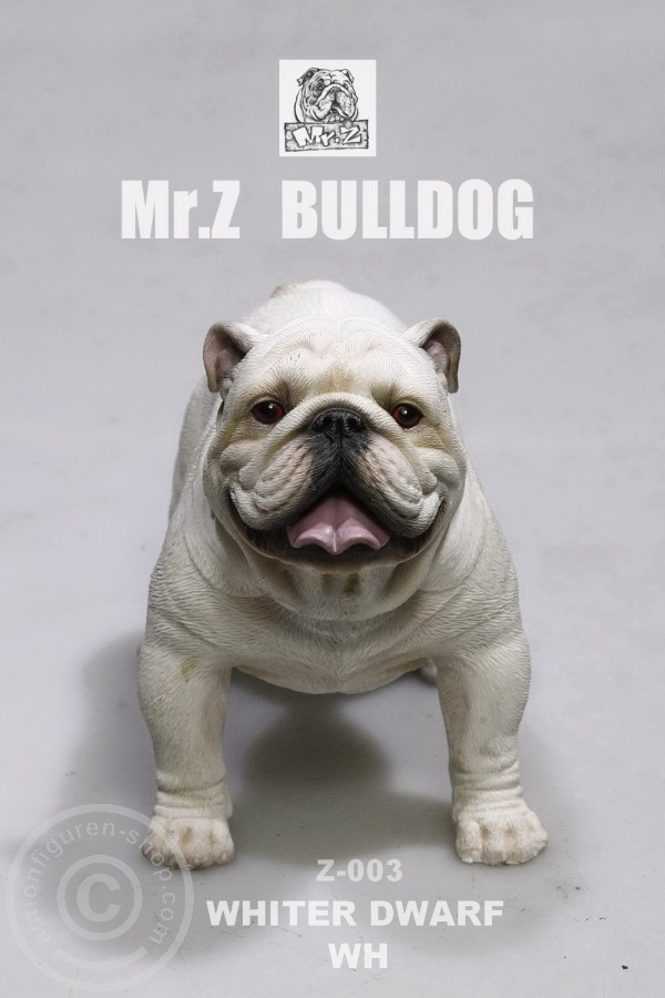 MRZ003-10 British Bulldog - Version 4