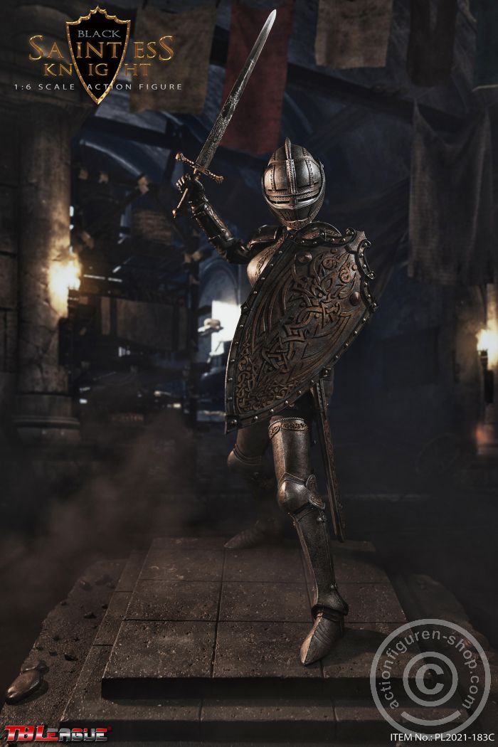 PL2021-183C-04 Saintess Knight - Black Version