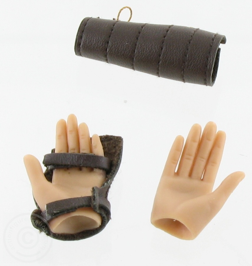 Hand- u. Armschutz + 1 Paar Hände