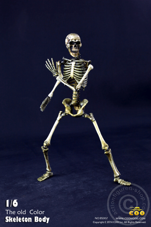 The Skeleton in 1:6 - Old Color