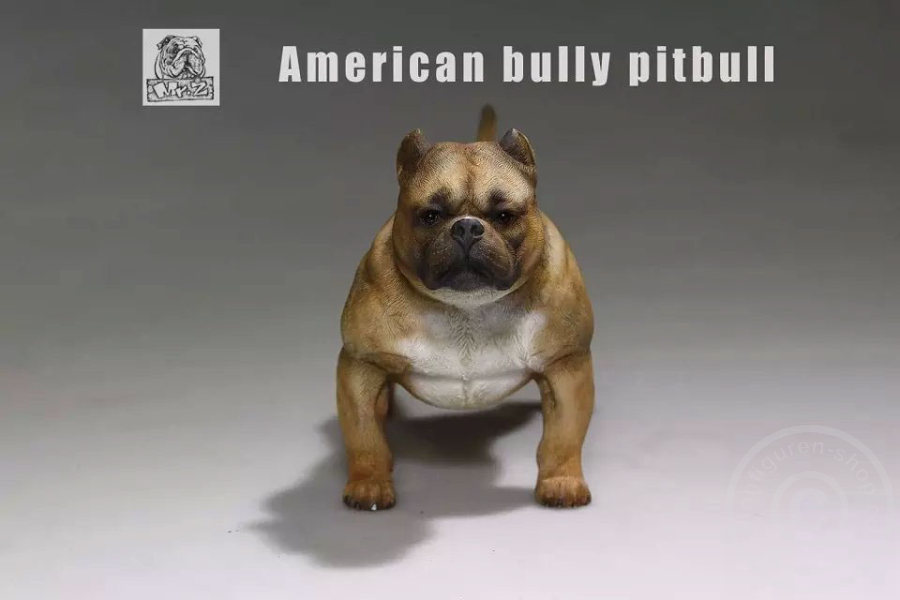 MRZ001-02 American Bully Dog - dark color