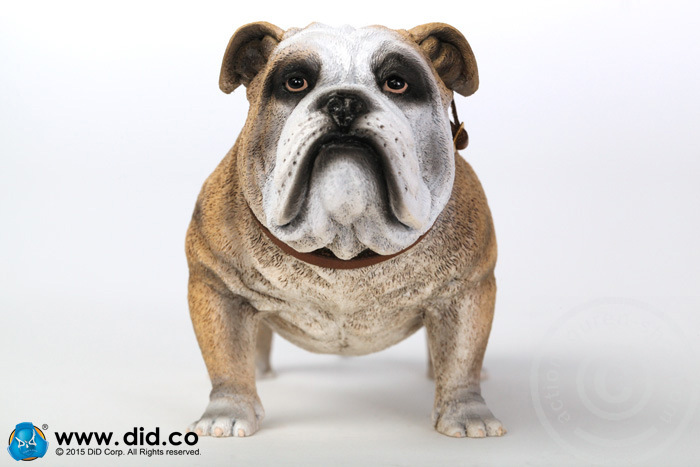 AS002A-05 British Bulldog - Version A