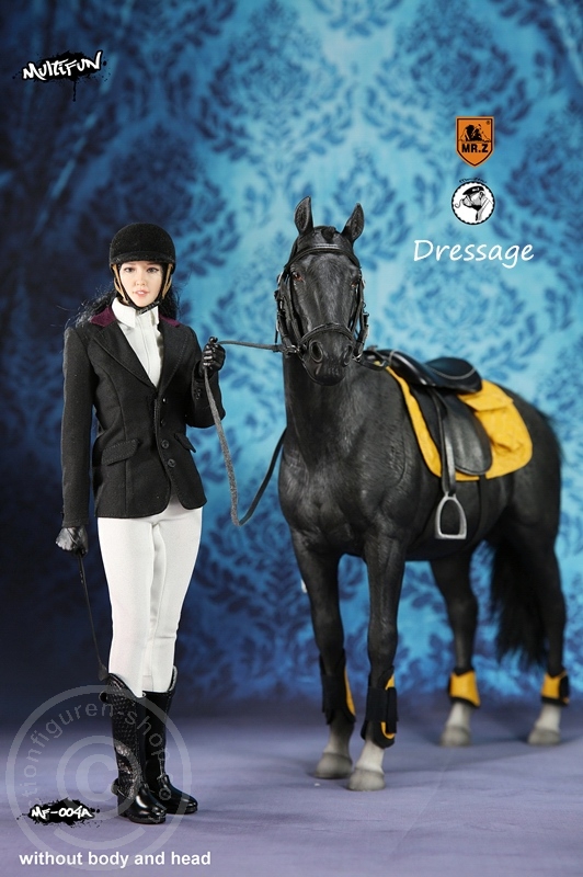 MRZ004A-09 Dressage Set A