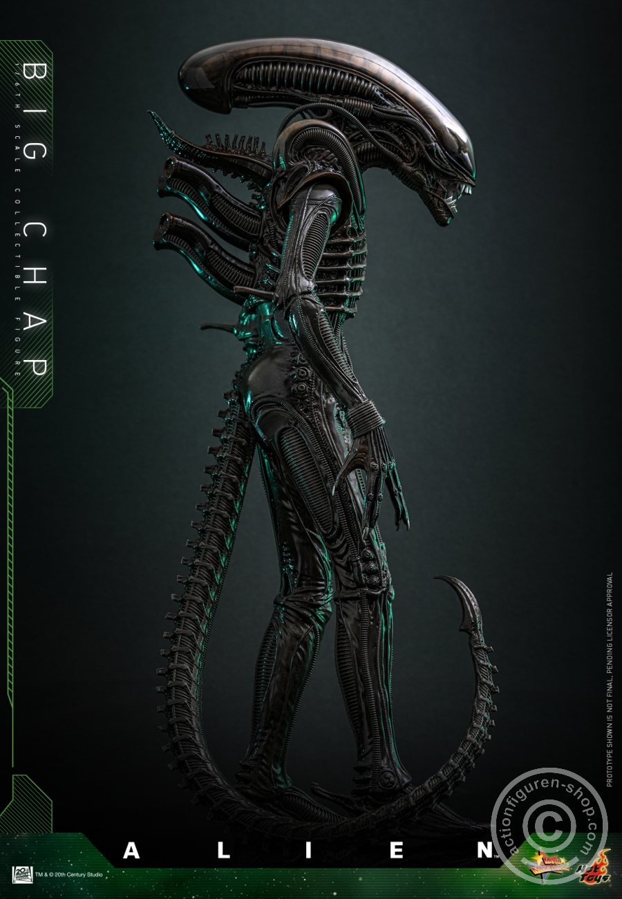 Hot Toys – MMS826 - Alien - 1/6th scale Big Chap Collectible Figure