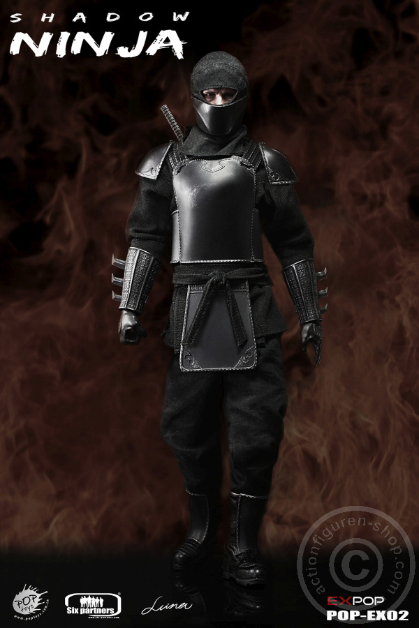 PTex02-01 Leader of Shadow Alliance - Master Ninja - Armor Ver.