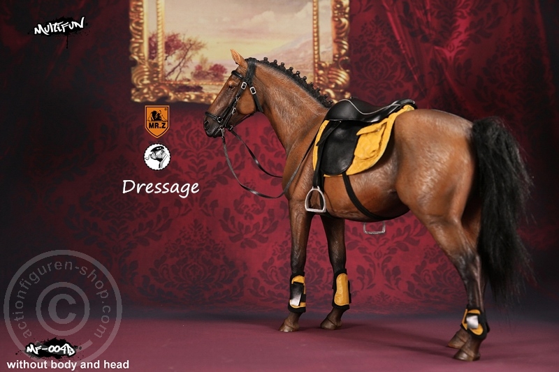 Dressage Set B