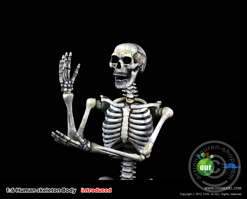 Skeleton Spear Soldier - Human Skeleton in 1:6