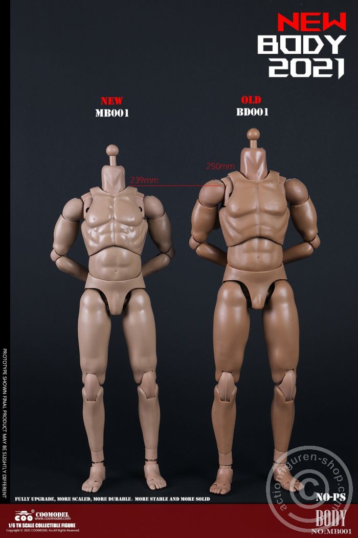 Standard Male Body - New Type