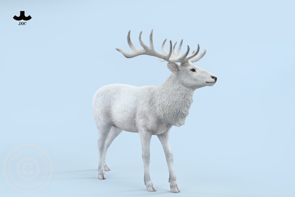 Reindeer - Color C