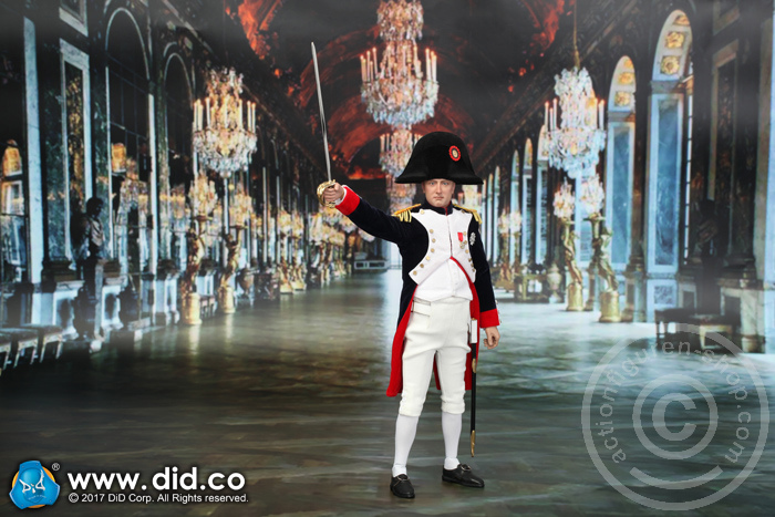 80121-22 Napoleon Bonaparte