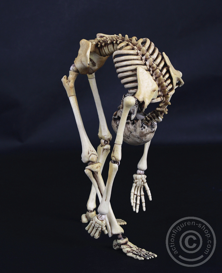 Skeleton Spear Soldier - Human Skeleton in 1:6