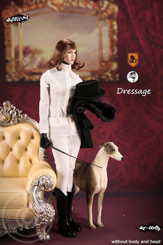 MRZ004B-20gJdYN0Bfe5JgS Dressage Set B