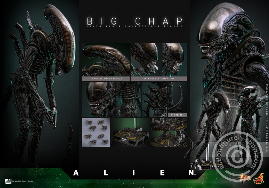 Hot Toys – MMS826 - Alien - 1/6th scale Big Chap Collectible Figure