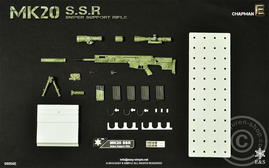 MK20 Sniper Support Rifle - E