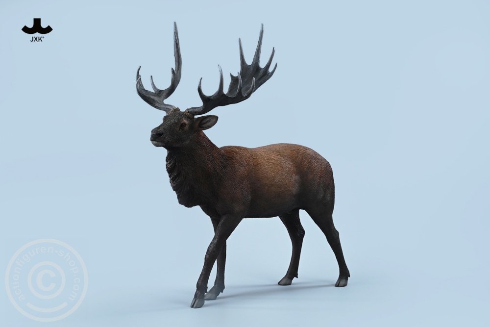 Reindeer - Color A Reindeer - Color A