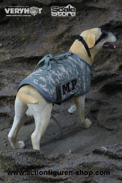 US Army MP mit Hund