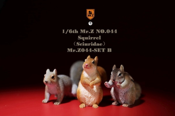 3 Squirrel (Set B)