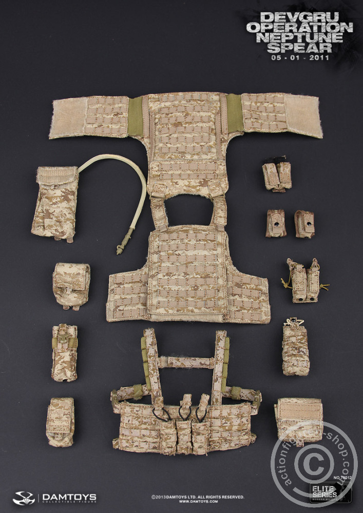 DA78012-52 DEVGRU Operation Neptune Spear