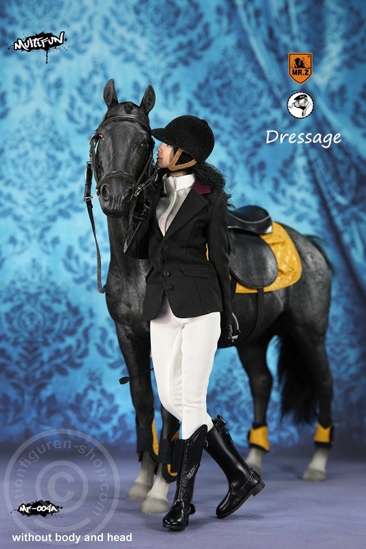MRZ004A-13 Dressage Set A